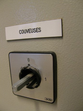 couveuses - 2 Nov 2008