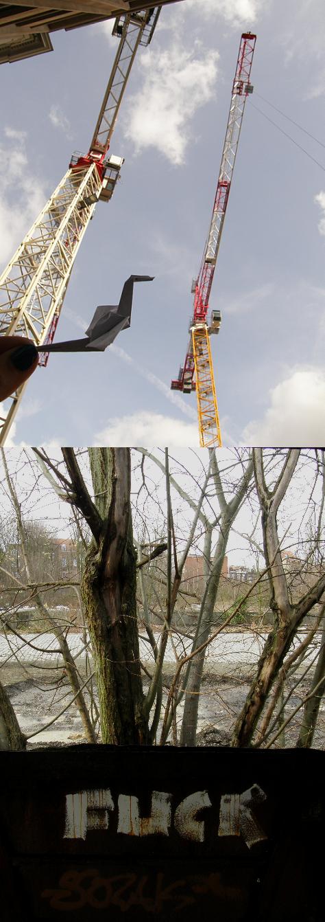 faire les grues parler cru - balade du vendredi 13