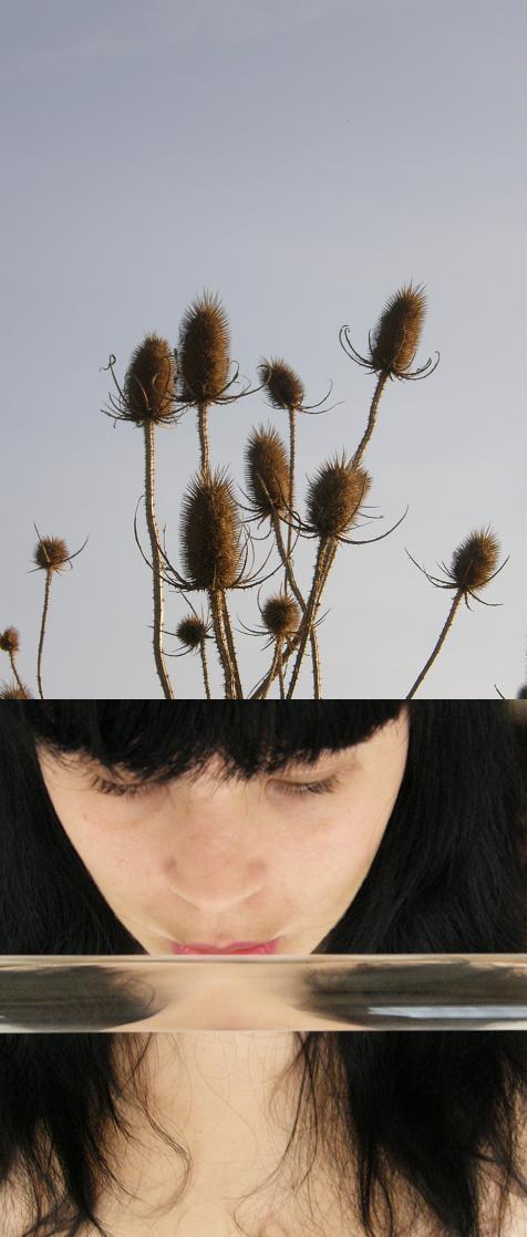 Chardonne Gorgone II Mars 09