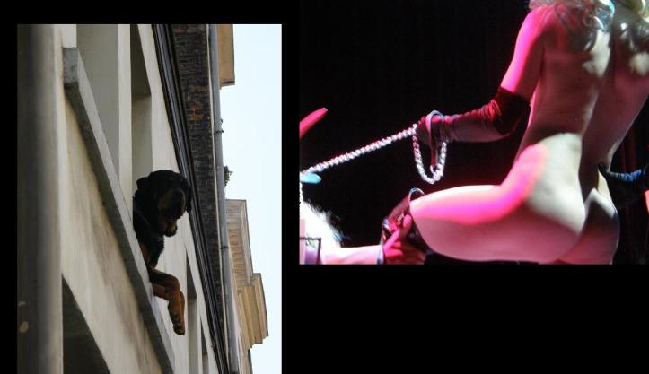 doggy style april 09