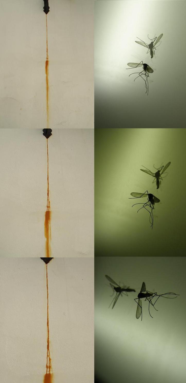 souillure et d&eacute;sastre - 2 july 09