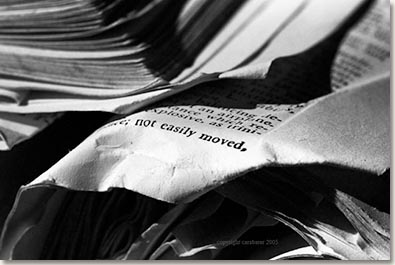 Cara Barer not_easily_moved_72
