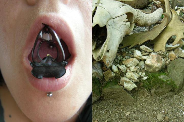 Août 09 - les bouches des hommes sont des animaux