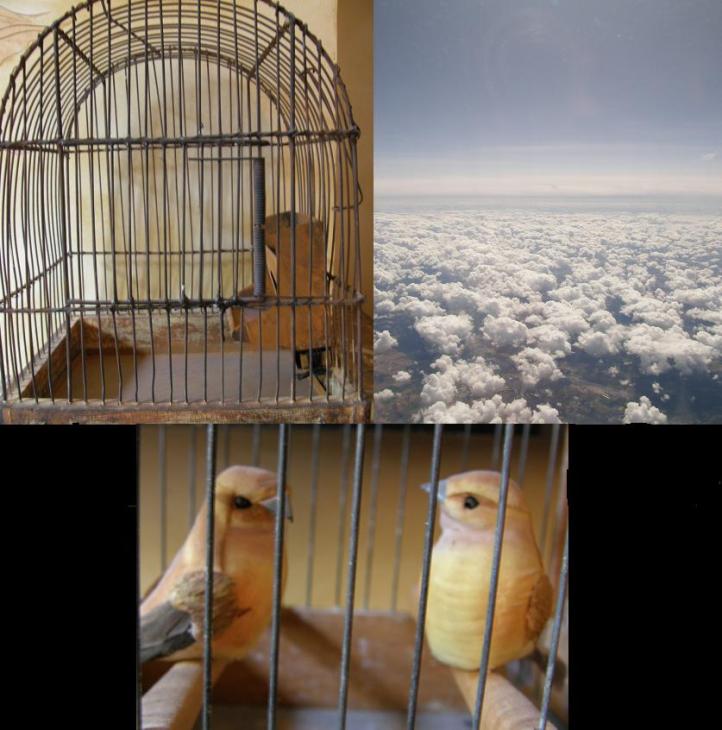 trip tique a&ocirc;ut 09