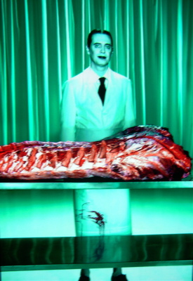 Robert Wilson voom (meat)