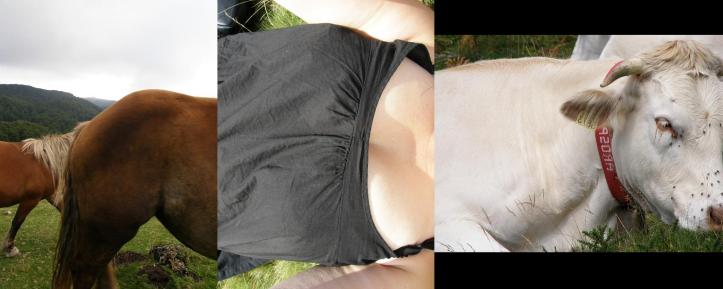 devenir animal - chim&egrave;re de campagne