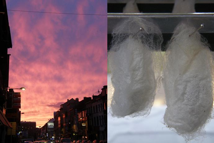 cocons de feu - d&eacute;c 09