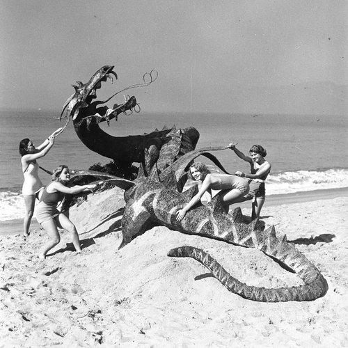 ladies fight the dragon