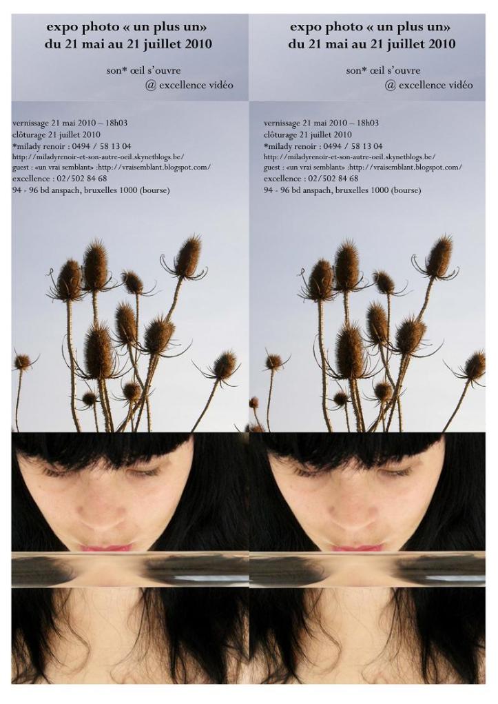 affiche expo un plus un - Milady Renoir small