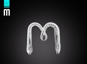 Alphabet-and-Eels-11 M.jpg