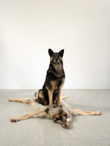 00 Mike Calway-Fagenas,The Progression of Regression, 2010.jpg