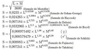 calcul surface corporelle peau.jpg