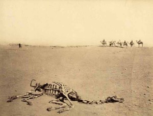 The Skeleton in the desert, circa 1880.jpg