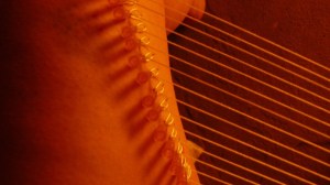 Sarah Jane Norman III.jpg