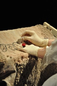 Sarah Jane Norman I.jpg