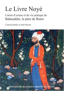 livre noyé.jpg