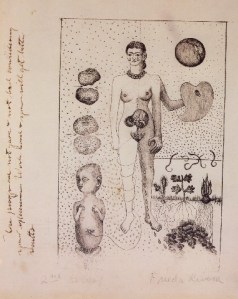 Frida Kahlo's drawings.jpg