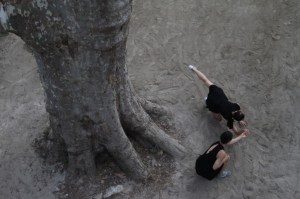 MICHEL FRANCOIS_1010 ROSAS.JPG