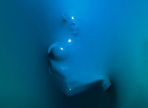  shrink-wrapped bodies by julien palast .jpg