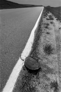 Jim Richardson. Adding insult to injury. Cansas.jpg