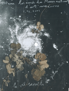 Capture d’écran 2017-12-11 à 19.18.01.png